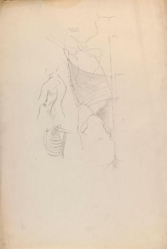 © The Estate of James Sleator