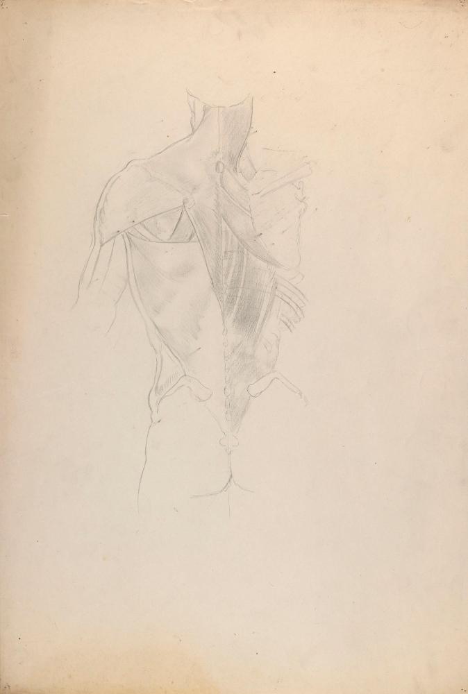 © The Estate of James Sleator