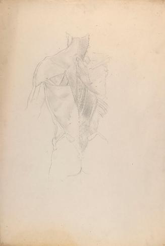 © The Estate of James Sleator