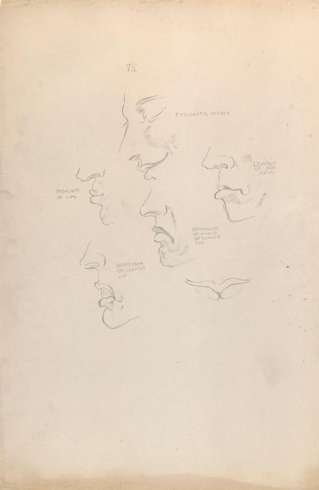 © The Estate of James Sleator