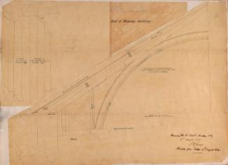 Details of the Roof of the Natural History Museum, Dublin