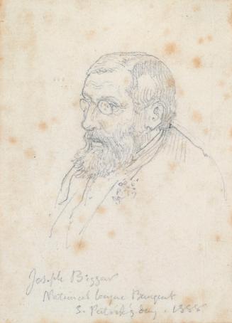 Joseph Gillis Biggar M.P. (1828-1890), at the National Land League Banquet