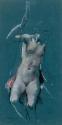 Circe the Enchantress
