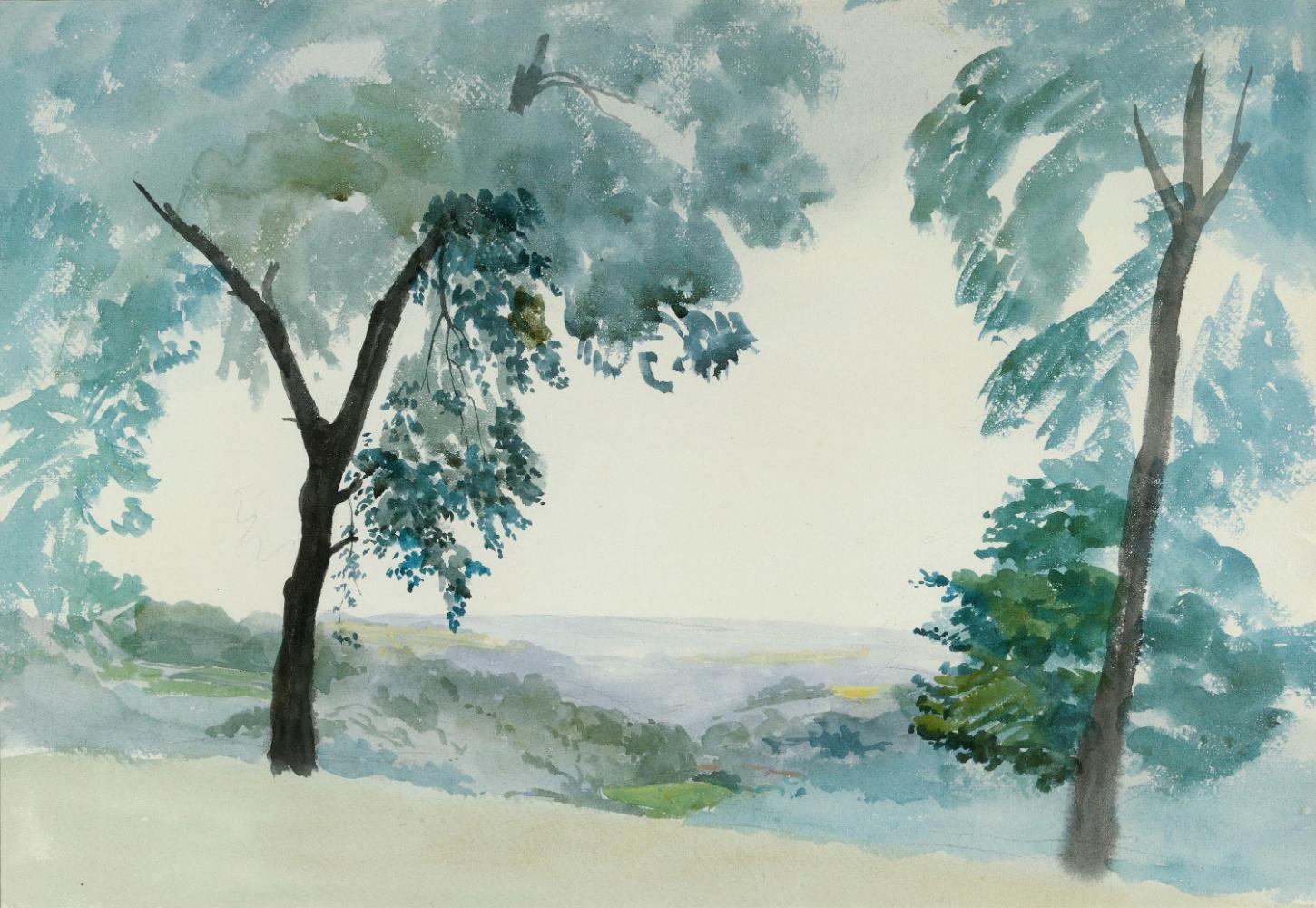 Trees above a Valley