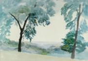 Trees above a Valley