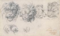 Lions' Heads