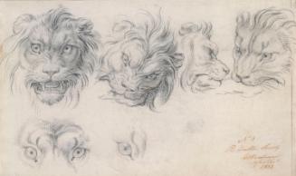 Lions' Heads