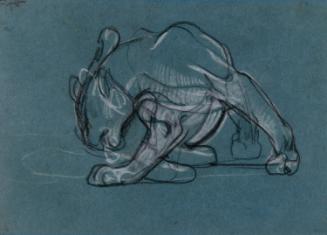 A Lioness Licking Herself