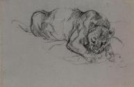 A Lioness Devouring Prey