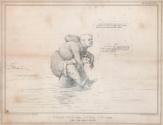 'Friar Tuck and Little John (Again)' - Daniel O'Connell, M.P. (1775-1847), carried by John Russell, 1st Earl Russell (1792-1878)