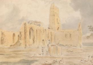 Kildare Cathedral, County Kildare