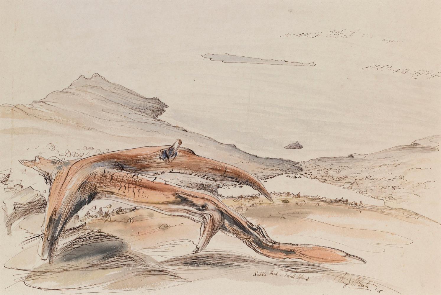 Saddle Head, Achill