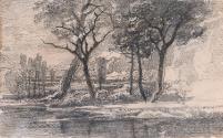 Trees by a Lake