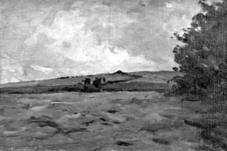 Rough Ground below a Cornfield