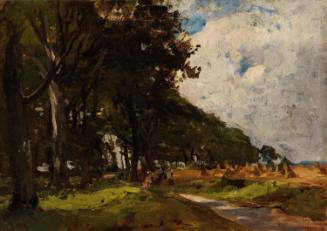 A Path through Trees with a Cornfield