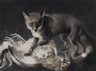 Fox and Cock
