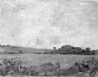 Cornfield below a Hill