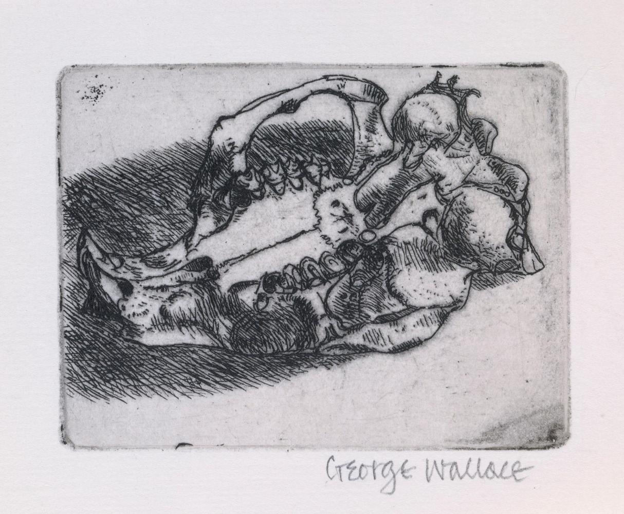 © Estate of George Wallace and CARCC, 2018 