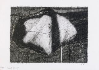 © Estate of George Wallace and CARCC, 2018 