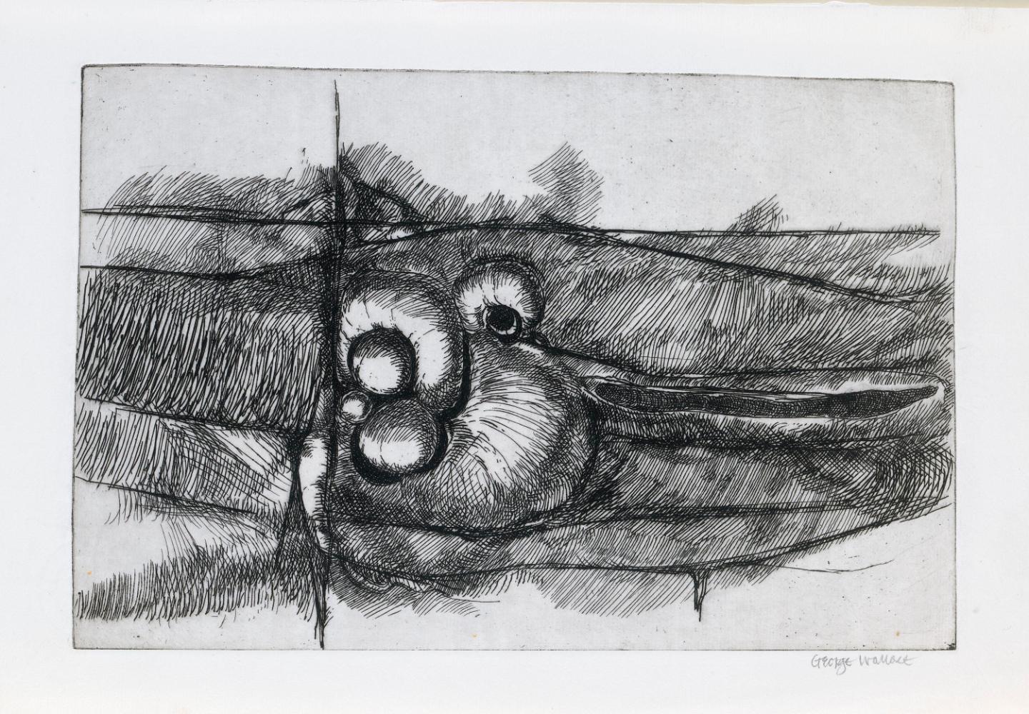 © Estate of George Wallace and CARCC, 2018 