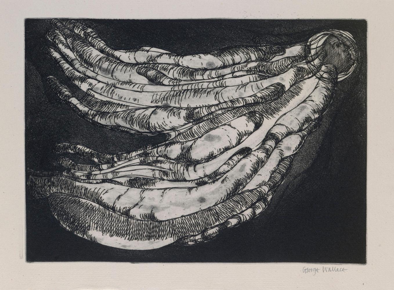 © Estate of George Wallace and CARCC, 2018 