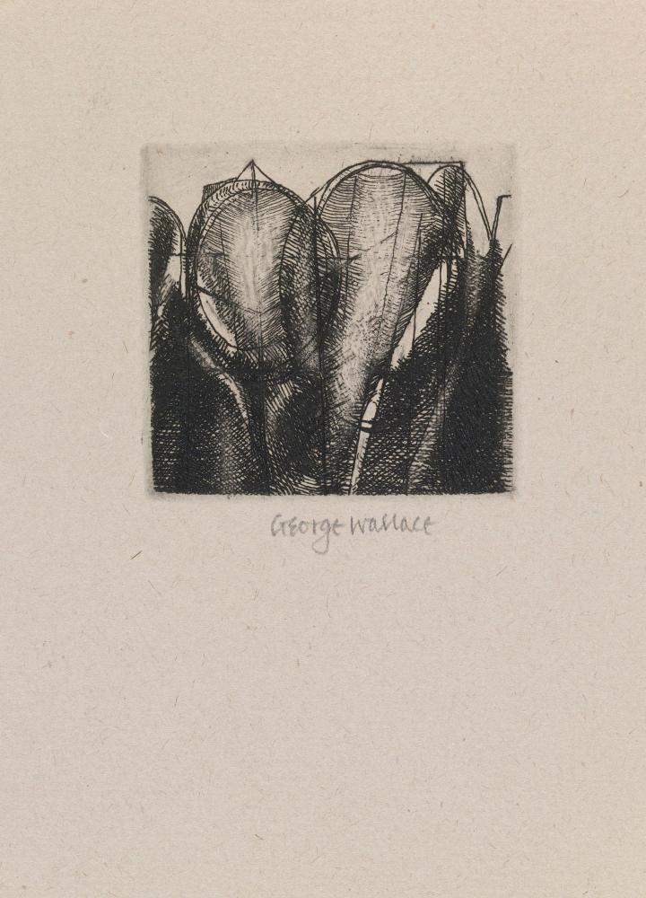 © Estate of George Wallace and CARCC, 2018 