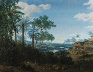 Brazilian Landscape