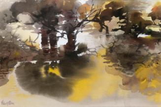 Pool on Liffey after Flood