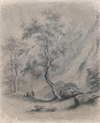 An Ash Tree at the Base of Powerscourt Waterfall, County Wicklow