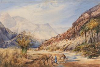 Middle Eastern Landscape