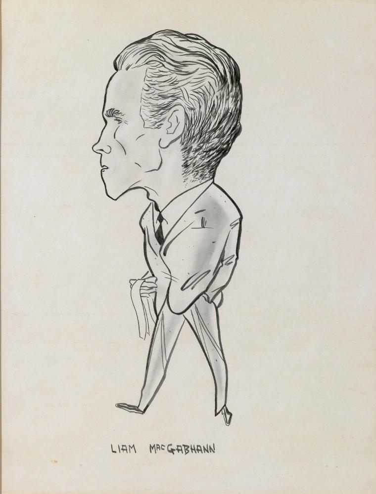 Liam MacGabhann, Journalist