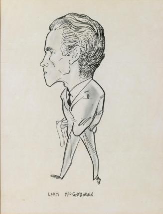 Liam MacGabhann, Journalist