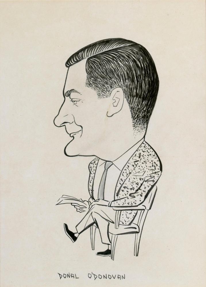 Donal O'Donovan, Journalist of The Irish Times