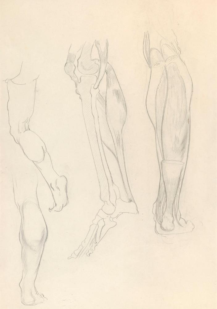 © The Estate of James Sleator