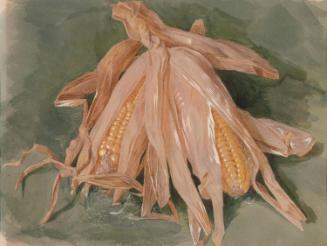 Fresh-Pulled Maize