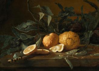 A Still Life with Citrons, a Knife and Peapods on a Stone Ledge