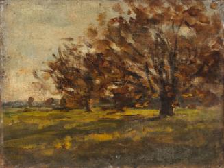 Fields with three Trees