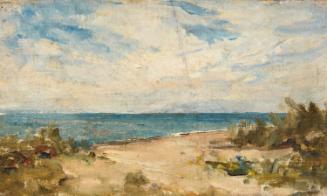 Seashore on a Sunny Day