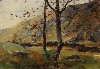 Trees at the Foot of a Hill