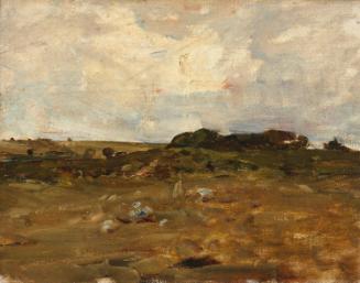 Landscape, a Grey Day