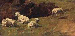 Sheep Resting, a Cow Grazing