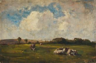 Pastures with Cattle Resting