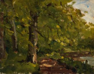 Trees on a River Bank