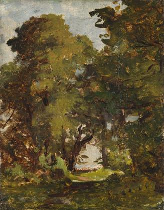 A Clearing amongst Trees