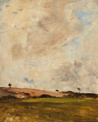 High Sky over a Cornfield