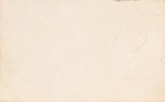 Unfinished Sketches of Trees