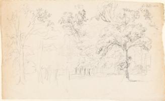 Sketch of Trees