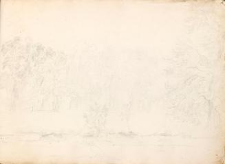 Trees by a River with Bird in Foreground