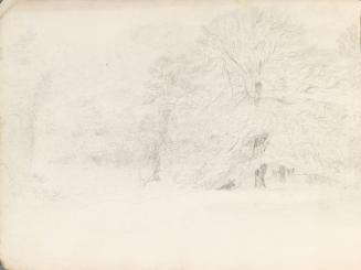 Meadow with Trees and Cows at Rossana (1)