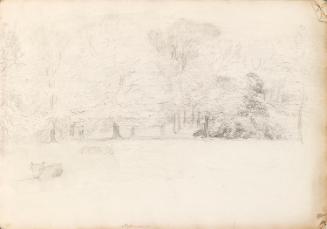 Meadow with Cows and Trees at Rossana (2)